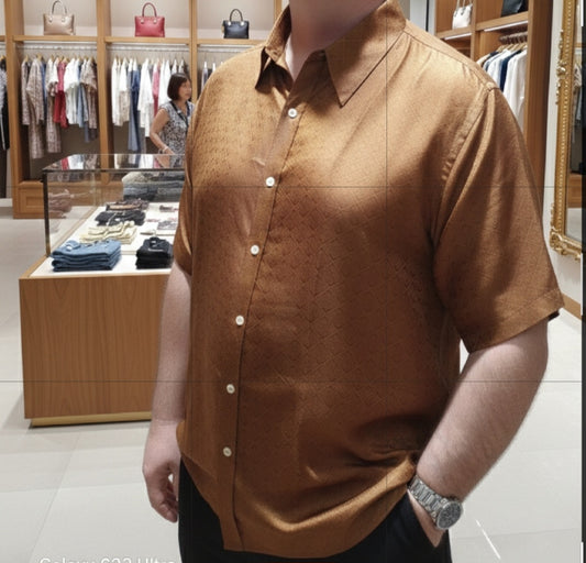 Mulberry Silk Men's Shirt